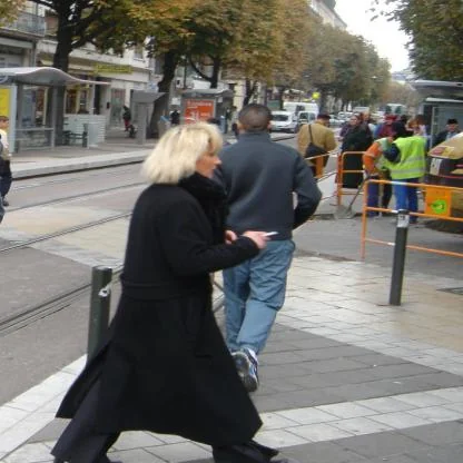 Pedestrian Segmentation Input