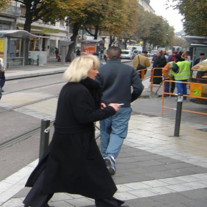 Pedestrian Segmentation Input