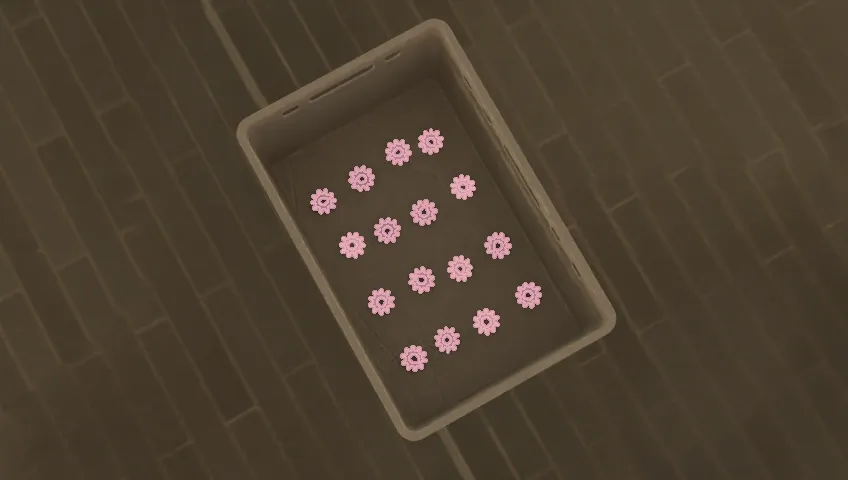 Segmentation