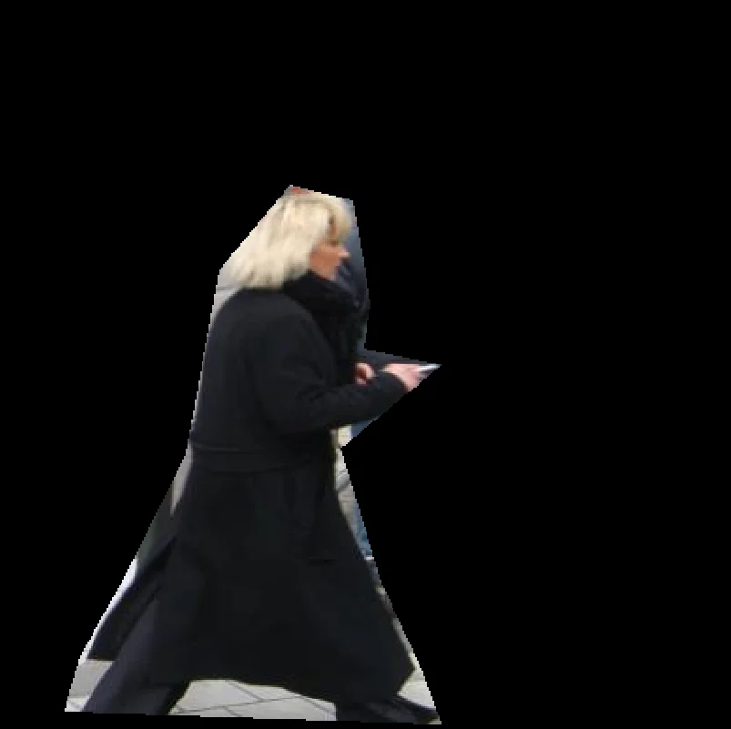 Crop Image Using Polygon 1